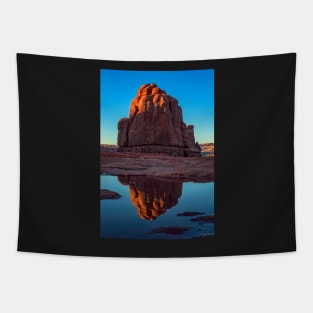 Reflected Rock Formation in Arches National Park Tapestry