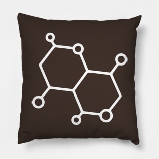 Chemical Formula Pillow