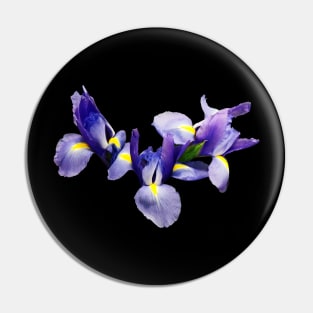 Irises - Group of Japanese Irises Pin