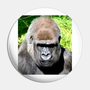 SILVERBACK Pin