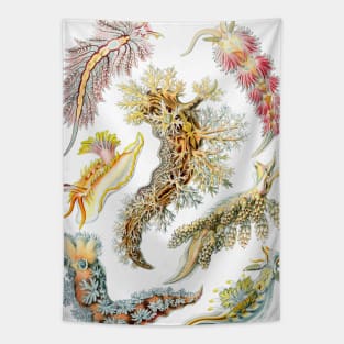 Under Water Animals Tapestry