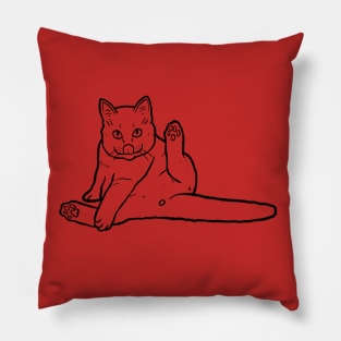 Cat Butt Pillow