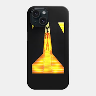 Cat in the night Phone Case