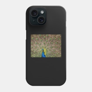 Peacock Displaying Feathers Phone Case