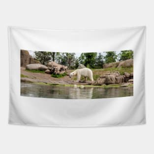 Polar bear walking by lake Tapestry