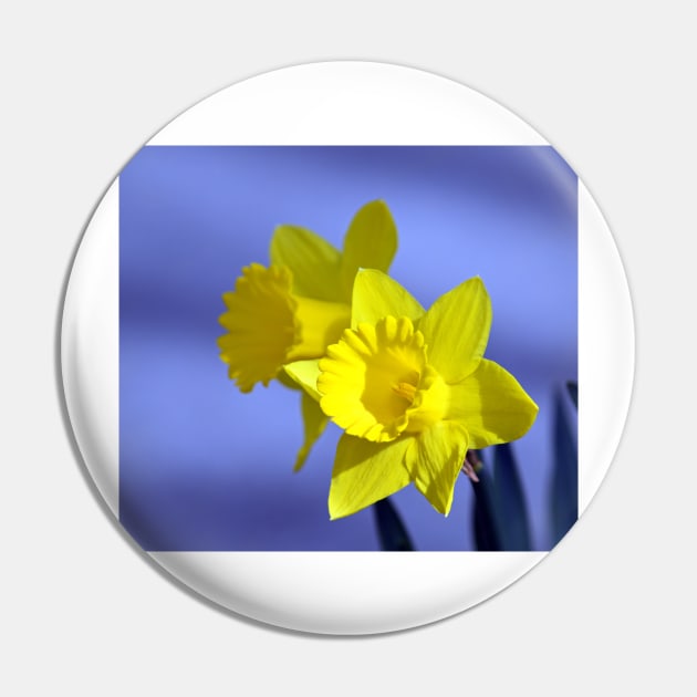 Daffodil Duo Pin by mariakeady