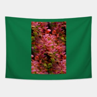 Pink Rocket Barberry Tapestry