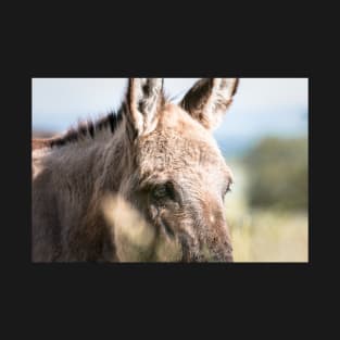 Donkey looks into the distance T-Shirt