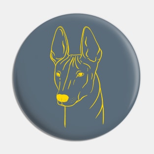 Xoloitzcuintli (Blue-Gray and Yellow) Pin