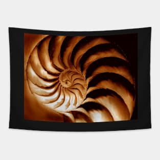 nautilus spiral Tapestry