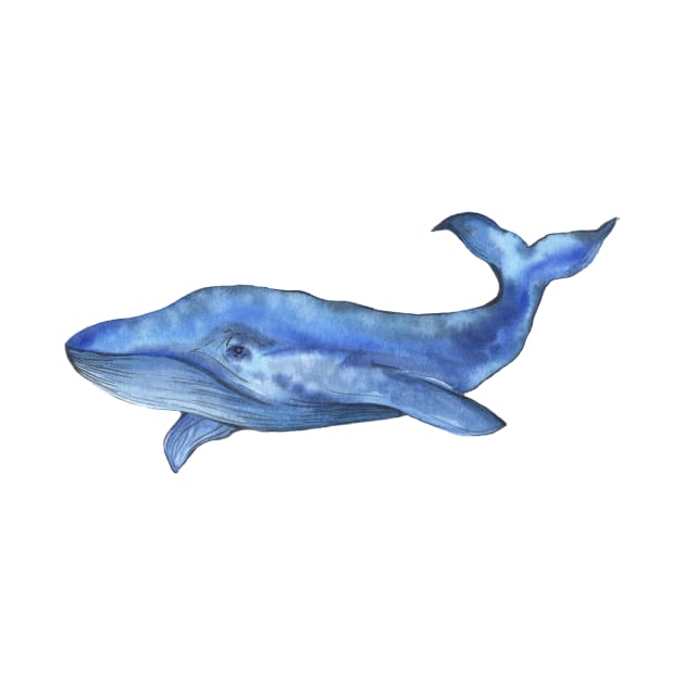 watercolor whale by zeevana