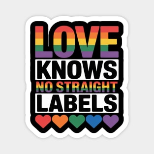 Love Knows No Straight Labels LGBT Gay Ally Queer Pride Magnet