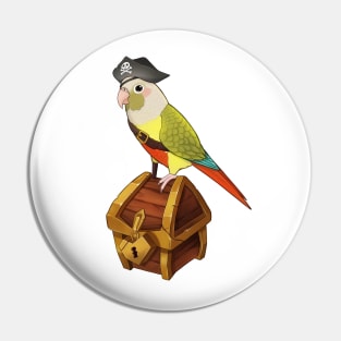 Pirate Conure Pin