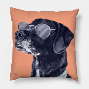 Good Vibes Cool Dog Pillow