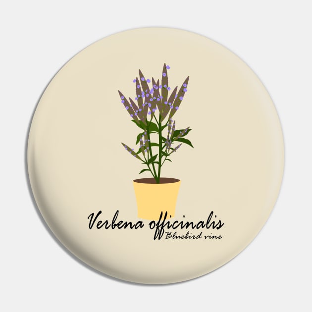 Verbena Pin by Brunaesmanhott0