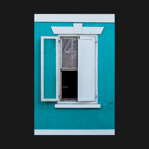 The Window by gdb2