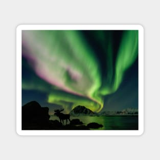 Moose with Northern Lights Magnet