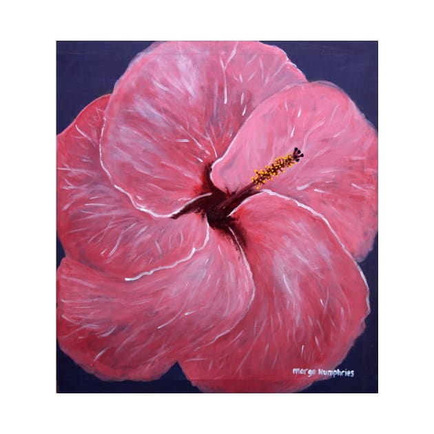 Hibiscus Flower by Margo Humphries Art