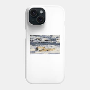 Polar Bear Mother & Cub Grooming Enthusiastically Phone Case