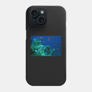 MARINE AQUATIC LIFE Phone Case