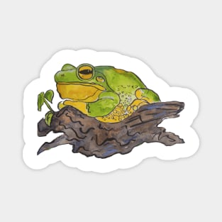 Beautiful chunky frog print Magnet