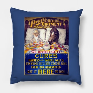 Funny Antique & Vintage Advertisement, Horse & Human Patent Medicine Pillow