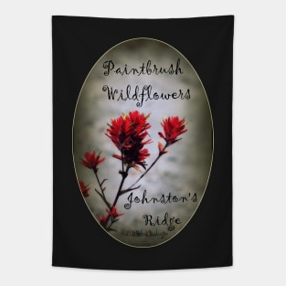 paintbrush wildflowers, Johnston's Ridge 2 oval Tapestry