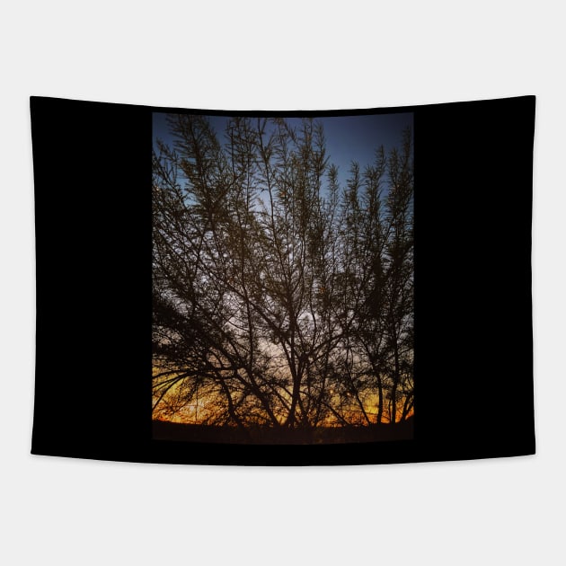 Sunset Silhouette Tapestry by andtimothyrew