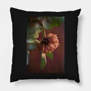 Petals III Pillow