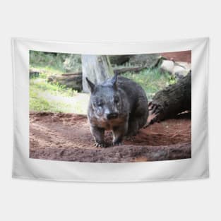 Southern Hairy-Nosed Wombat Tapestry