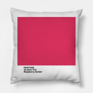 pantone 18-2043 TCX Raspberry Sorbet Pillow