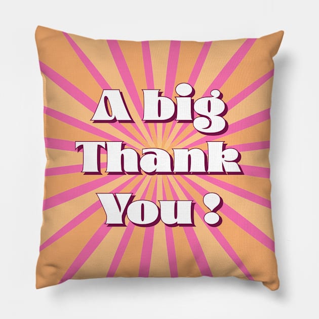 Big Thank You Pillow by Moshink