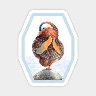 Mandarin Duck Art by Nadya Neklioudova Magnet