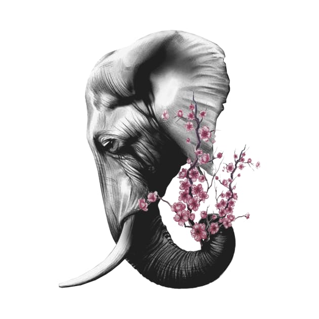 Elephant by maxha