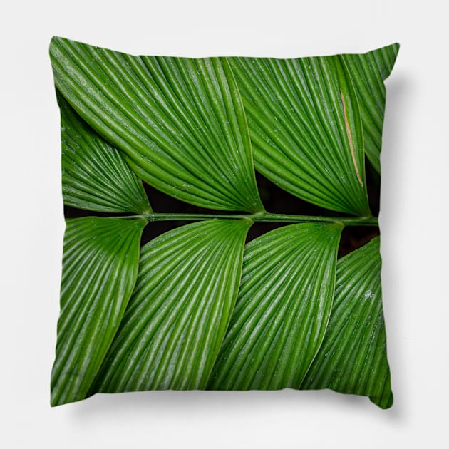 Green tropical leaf Pillow by Vannaweb