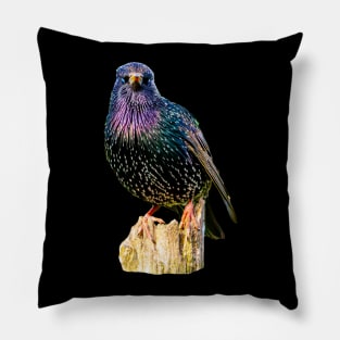 Starling Pillow