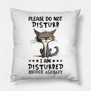 Please don't disturb I am disturbed enough already Pillow