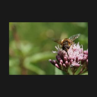 Bee On Water Hemp Flower T-Shirt