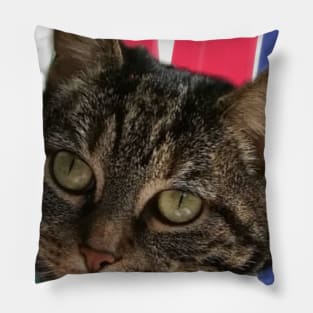 KokotheCat Pillow