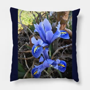 Mini Blue Iris Pillow