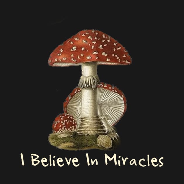 Mushroom Miracles by ArtisticEnvironments