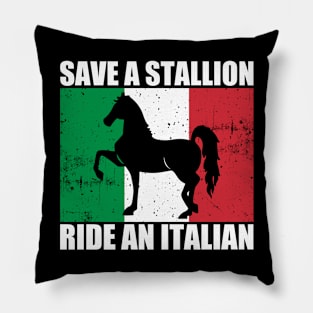 Save A Stallion Ride An Italian Pillow