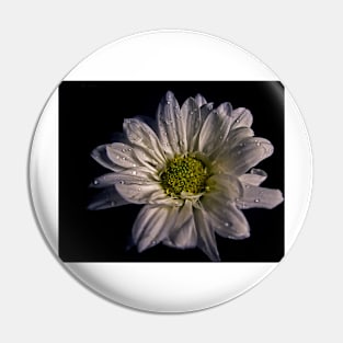 Wet White Flower Pin