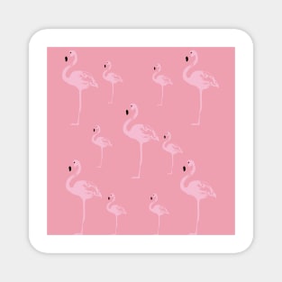 Pink Flamingo Birds Magnet