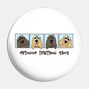 Spinone Italiano gear Pin