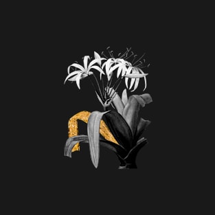 Black and Gold Leaf - Crinum Erubescens - Vintage Botanical T-Shirt