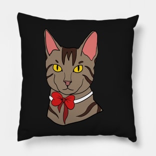 Pretty Kitty Pillow