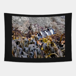 Snares Crested Penguins Tapestry