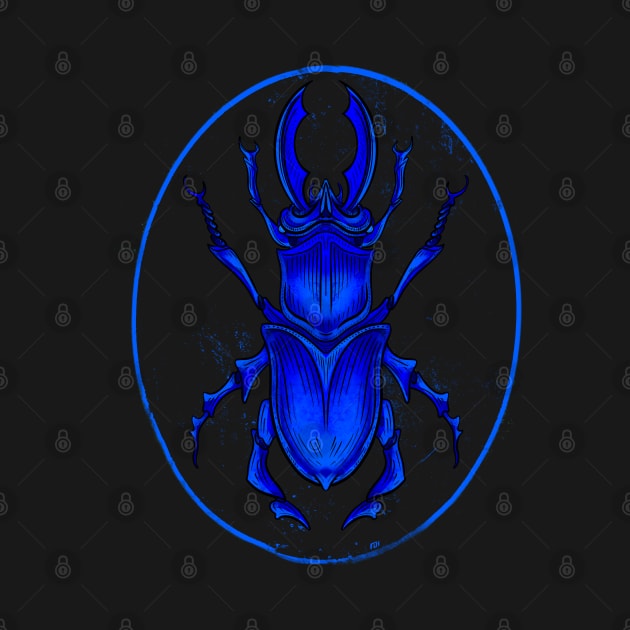 Bleu Beetle, scientific illustration drawing by Yety