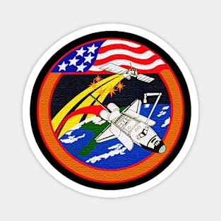 Black Panther Art - NASA Space Badge 133 Magnet